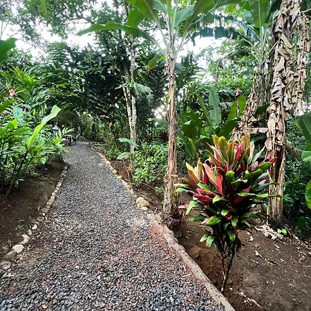 Arenal Rustic Lodge La Fortuna Exterior photo