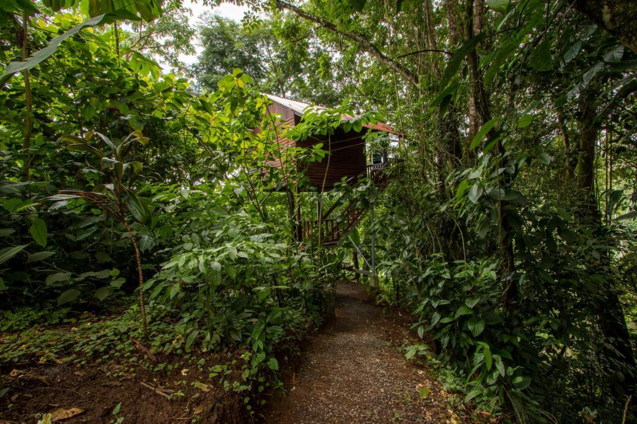 Arenal Rústic * La Fortuna