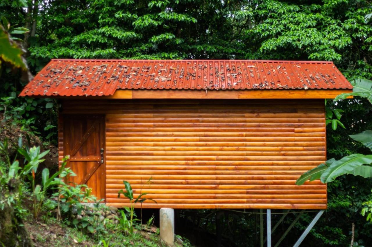 Lodge Arenal Rústic