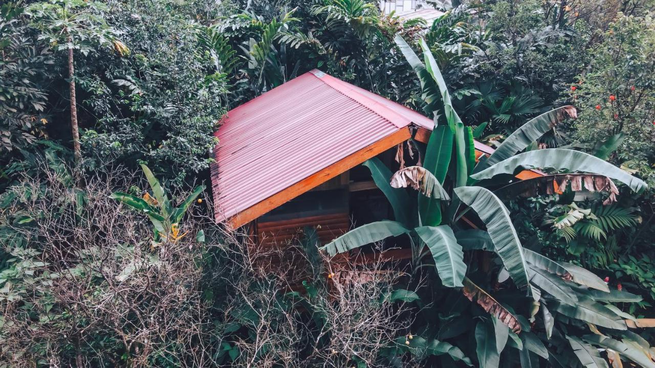 Lodge Arenal Rústic