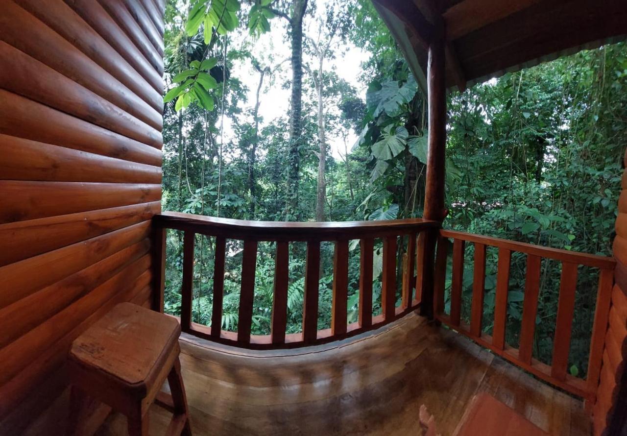 Lodge Arenal Rústic *