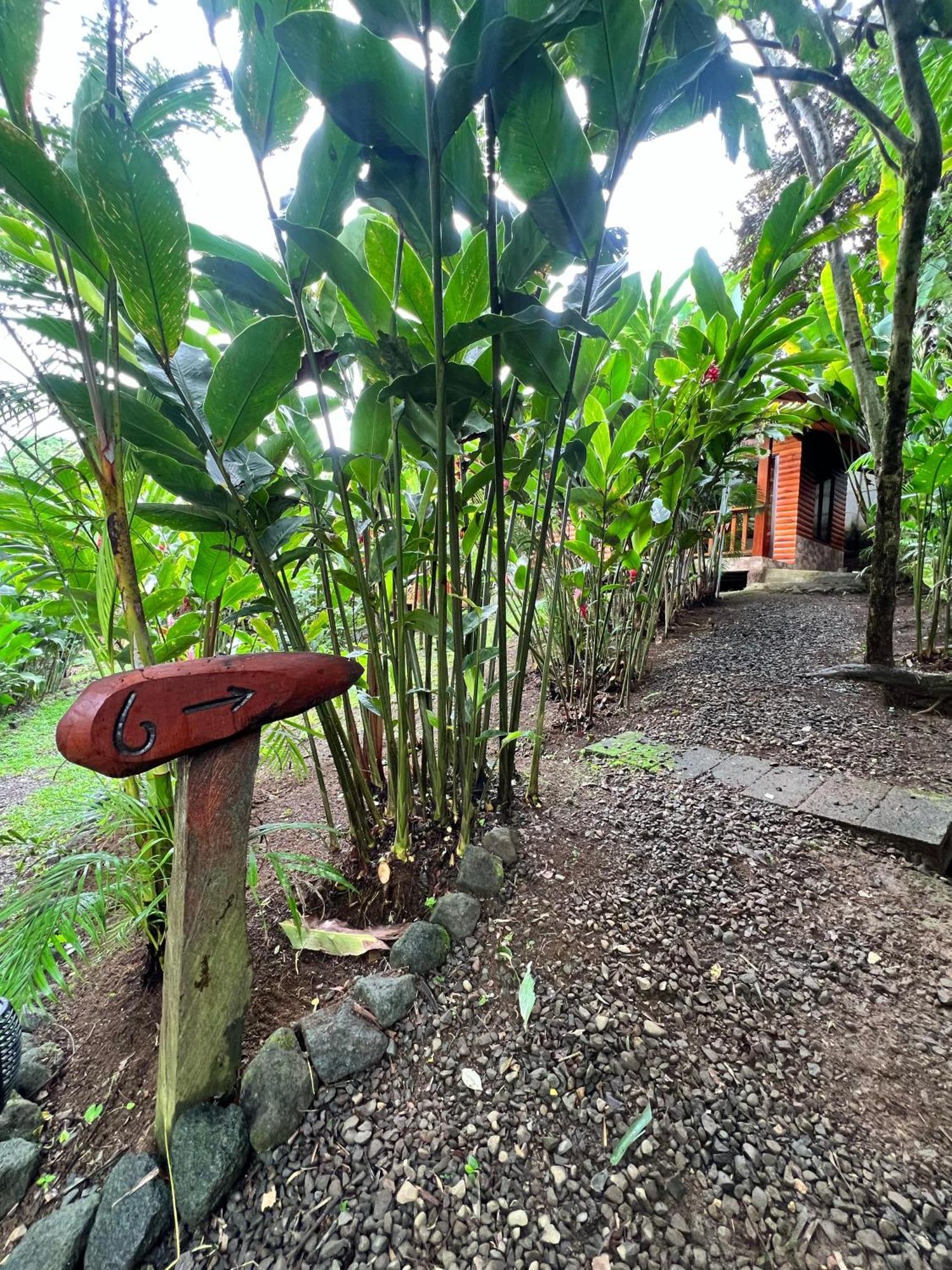 Arenal Rústic Lodge