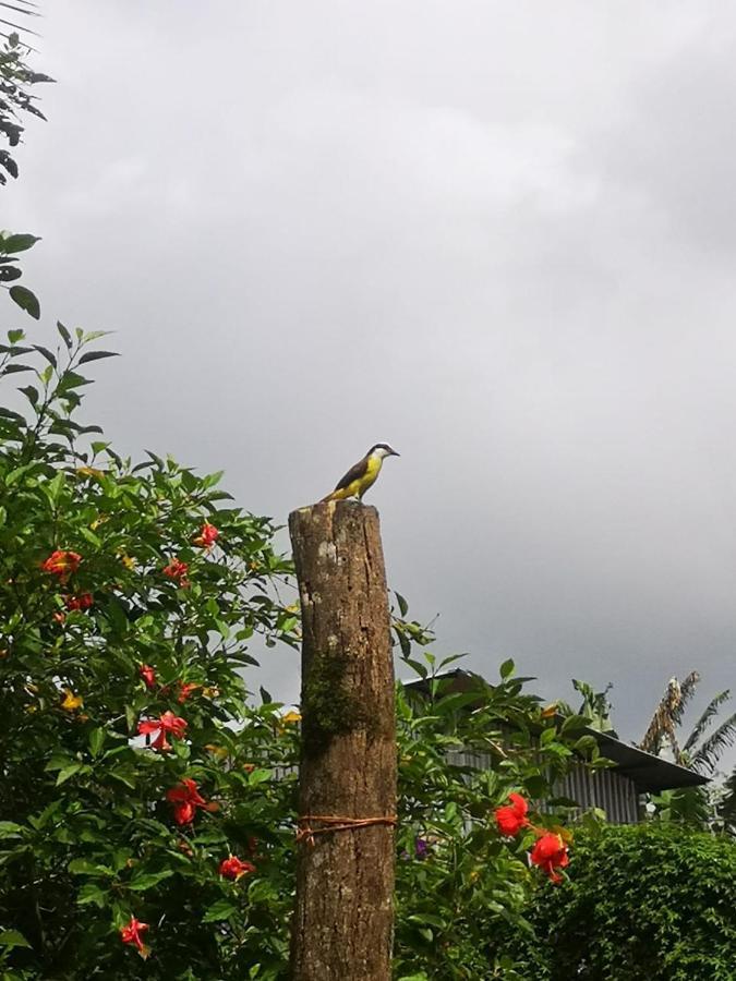 Arenal Rústic Lodge La Fortuna